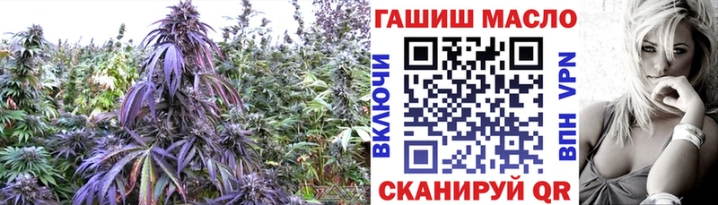 Купить где  Любань  ТГК жижа 
