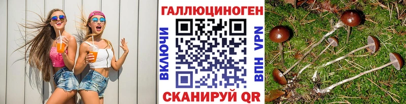 Купить  Любань  Галлюциногенные грибы прущие грибы 